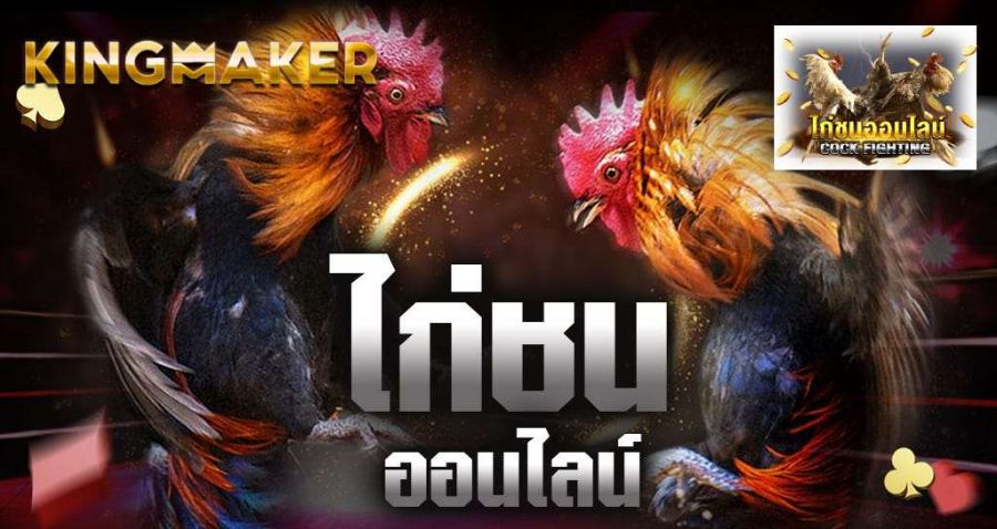 เกมยอดฮิต สังเวียนชนไก่ เกมใหม่มาแรง!! ฝาก ถอน รวดเร็ว แจกจริง จ่ายจริง เกมยอดฮิต สังเวียนชนไก่ เกมใหม่มาแรง!! ฝาก ถอน รวดเร็ว แจกจริง จ่ายจริง